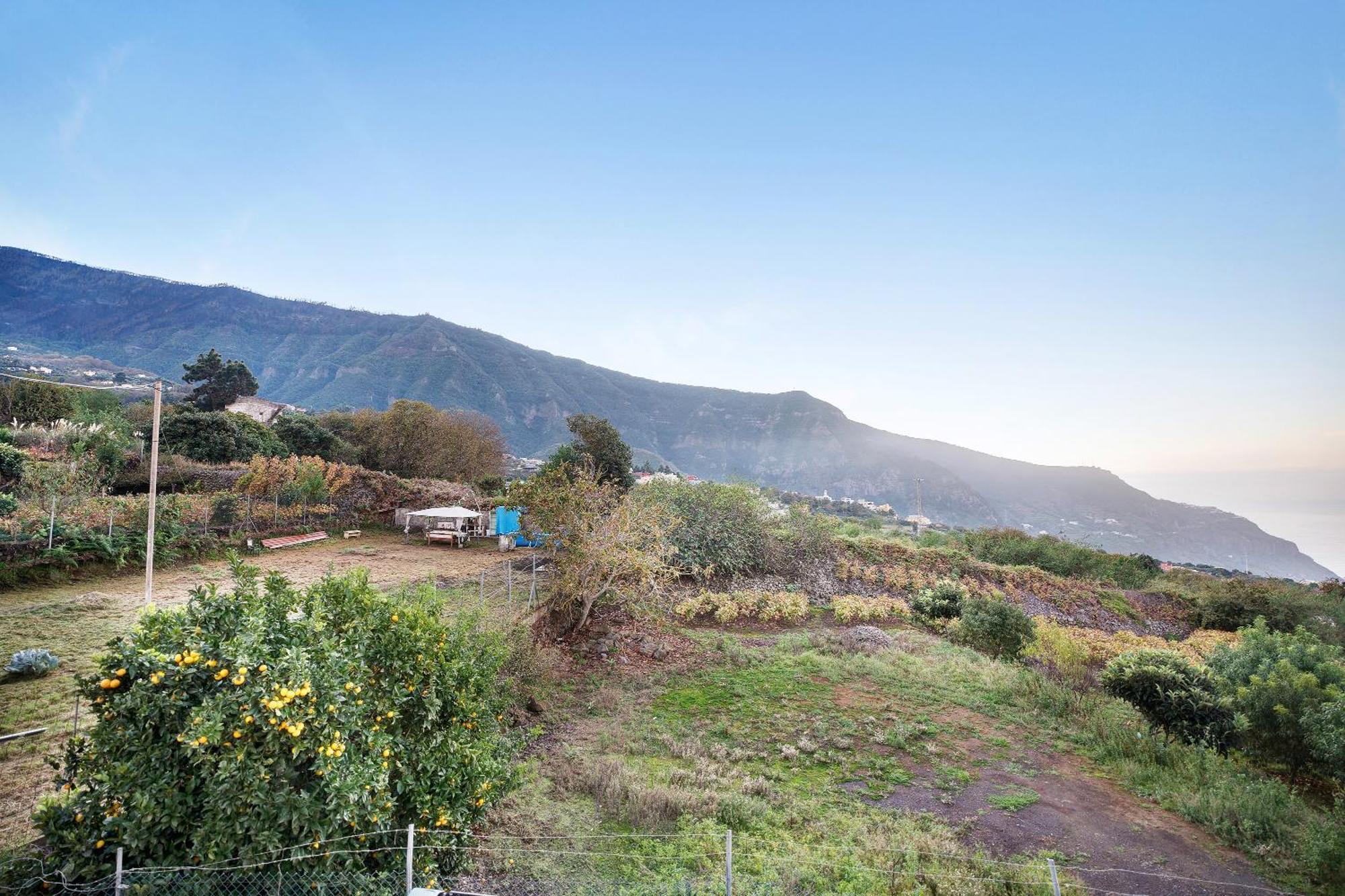 Casita Rural La Pinera Villa Los Realejos Luaran gambar